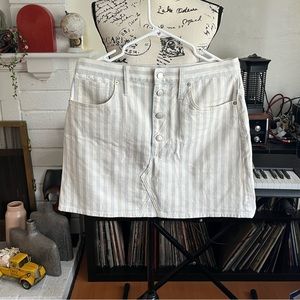 Madewell Stripe Skirt | Size 30